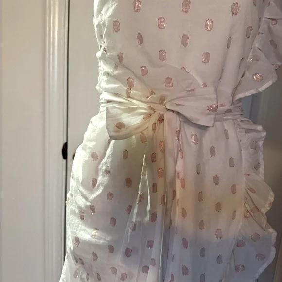 “LOVERS + FRIENDS” X Revolve Whitney Rose Dress - Picture 9 of 16